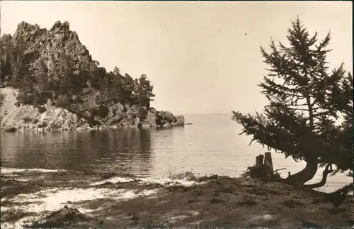 Postcard .Russland Baikalsee Байкал Hundebucht 1962