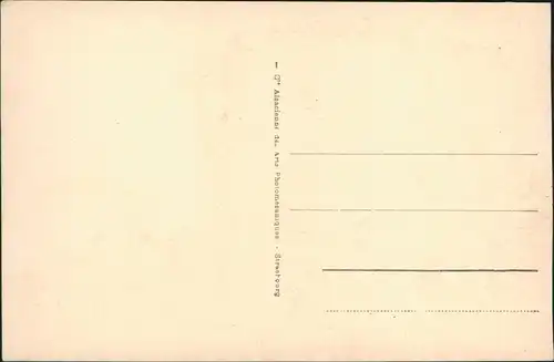 Postcard Bizerte بنزرت Italienische Schule, Ecole Italienne 1910