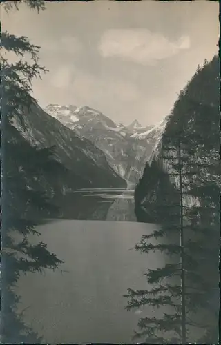 Königssee mit Blick auf das Steinerne Meer 1925 (Schönau) Privatfoto