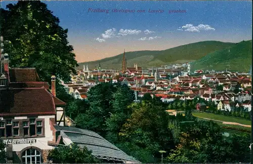 Ansichtskarte Freiburg im Breisgau von Loretto gesehen. 1913