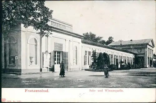 Postcard Franzensbad Františkovy Lázně Salz- und Wiesenquelle. 1913