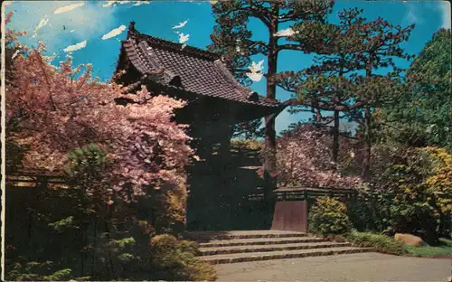 Postcard San Francisco ORIENTAL TEA GARDEN 1957
