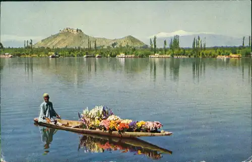 Postcard .Indien Indien India Dal Lake Srinagar Kashimir Region 1960