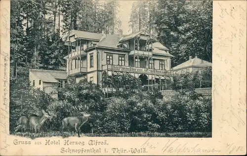 Schnepfenthal-Waltershausen Ortsansicht mit Hotel Pension Herzog Alfred 1902