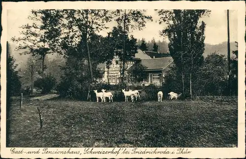 Ansichtskarte Friedrichroda Gast-und Pensionshaus Schweizerhof 1937
