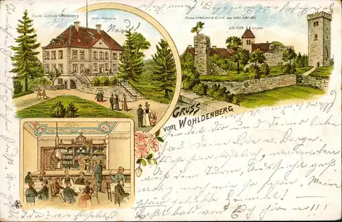 Litho AK Sillium-Holle (LK Hildesheim) Burg Wohldenberg, Hotel und Saal 1898