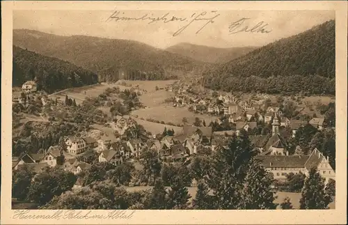 Ansichtskarte Bad Herrenalb Stadtpartie 1928