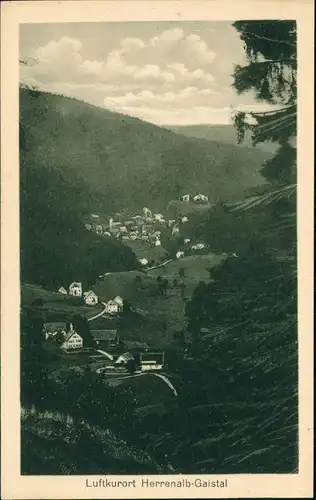 Ansichtskarte Bad Herrenalb Gaistal 1923