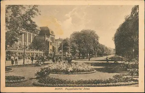 Ansichtskarte Bonn Poppelsdorfer Allee 1919