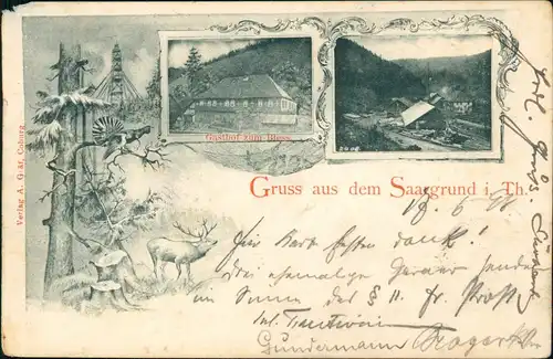 Ansichtskarte Saargrund-Eisfeld Gasthof zum Bless MB 1898