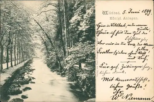 Ansichtskarte Bad Wildbad Königl. Anlagen. 1899