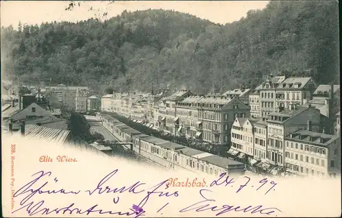 Postcard Karlsbad Karlovy Vary Panorama-Ansicht mit "Alte Wiese" 1900