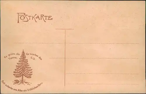 Ansichtskarte Rübeland Panorama-Ansicht Gesamtansicht 1905