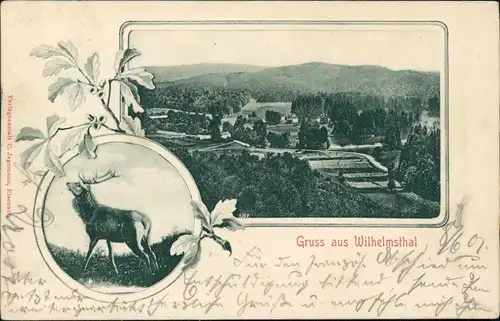 Ansichtskarte Eisenach 2 Bild Wilhelmsthal und Hirsch 1901