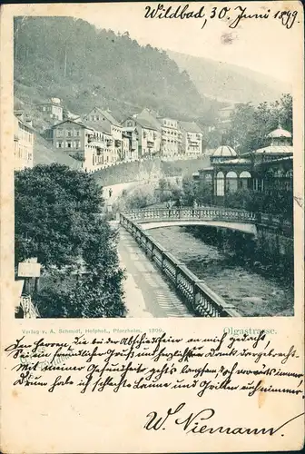 Ansichtskarte Bad Wildbad Olgastrasse 1899