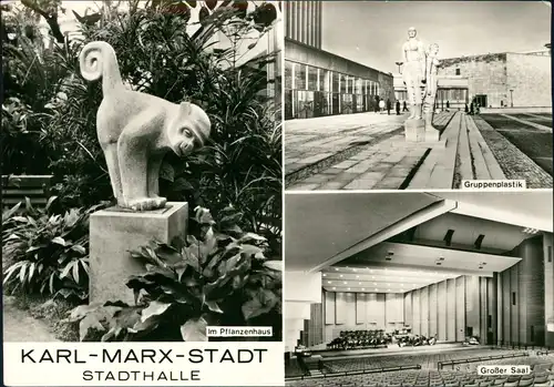 Ansichtskarte Chemnitz STADTHALLE Im Pflanzenhaus 3 Bild 1976