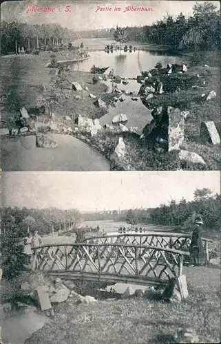 Ansichtskarte Meerane Partie im Alberthain 1916
