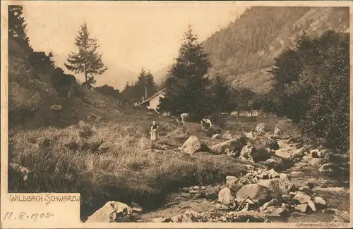 .Baden-Württemberg Partie am Wildbach - Schwarzwald - Stimmungsbild 1900