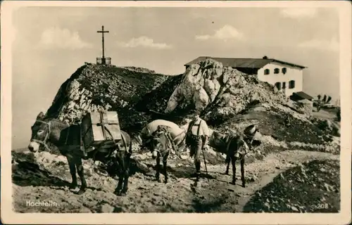 Ansichtskarte Hochfelln Packesel Esel an der Baude 1938