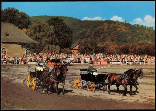 Ansichtskarte Dillenburg Hessisches Landgestüt (Hengstparade) 1968