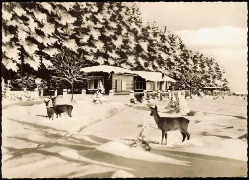 Bad Grund (Harz) Waldgaststätte Hübichalm Heinz Sieben im Winter 1966