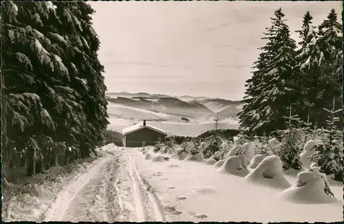 Ansichtskarte Sankt Andreasberg-Braunlage Auf der Kuppe im Winter 1958