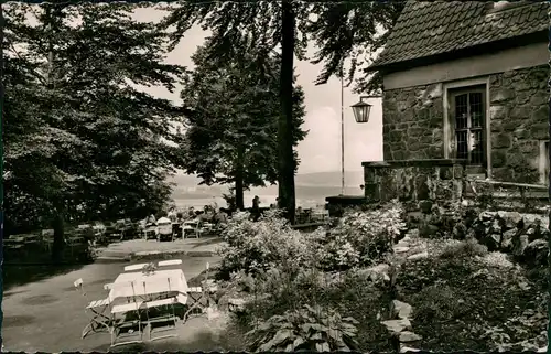 Ansichtskarte Bad Driburg Partie an der Baude 1961