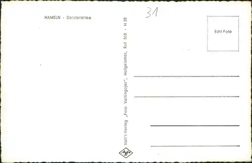 Ansichtskarte Hameln Deisterallee, VW Käfer - VW Bulli 1963