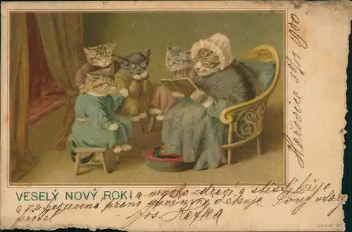 Tiere als Menschen (Künstlerkarten) Andromorphische Karten Katzen 1908