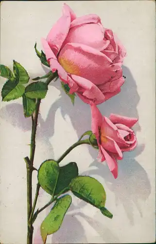 Ansichtskarte  Blumen Botonik Künstlerkarte rosa Rosen 1928