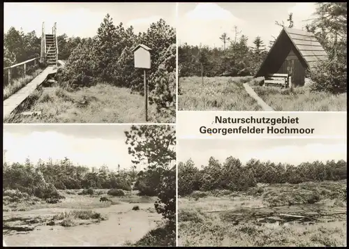 Zinnwald-Georgenfeld-Altenberg Erzgebirge MB Georgenfelder Hochmoor 1983