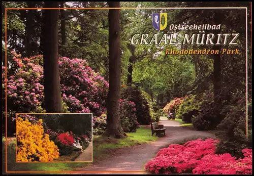 Ansichtskarte Graal-Müritz Rhododendron-Park 1990
