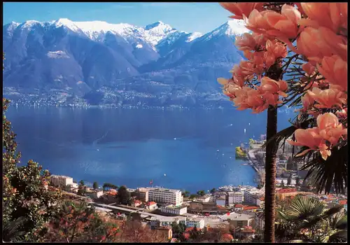 Ansichtskarte Locarno LOCARNO MURALTO Lago Maggiore See-Panorama 2000