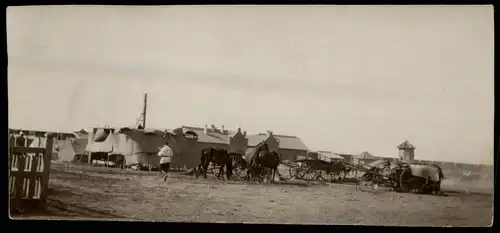 Militär Rußland Pferdegespanne und Zeltlager 1908 Privatfoto Foto