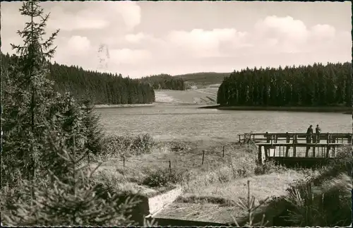 Ansichtskarte Buntenbock Partie am Prinzenteich 1963