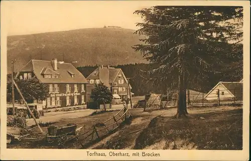 Ansichtskarte Torfhaus (Harz)-Altenau Strassenpartie, Hotel 1922