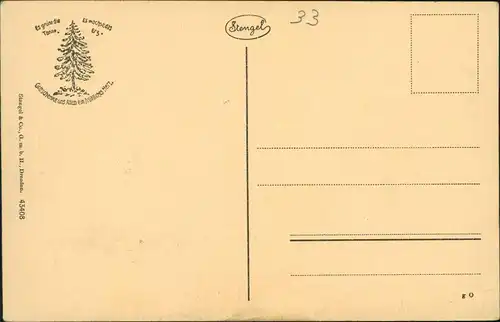 Ansichtskarte Torfhaus (Harz)-Altenau Strassenpartie, Hotel 1922