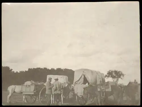 .Russland Rußland Россия Soldaten mit Pferden und Wagen 1908 Privatfoto Foto