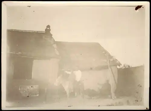 China (Allgemein) China 中国 Vater und Kind auf Esel 1905 Privatfoto Foto