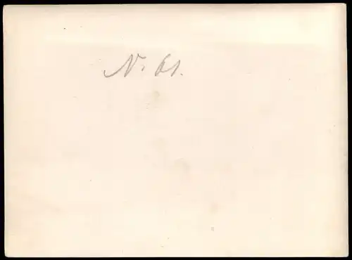 China (Allgemein) China 中国 Vater und Kind auf Esel 1905 Privatfoto Foto