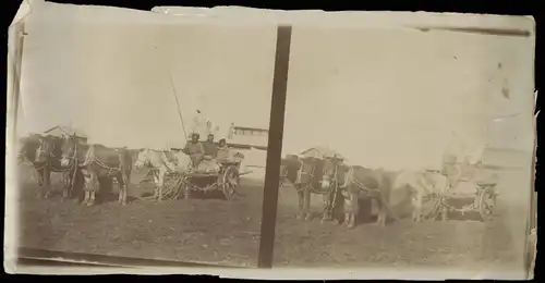 China   中国 Mandjurei 滿洲 / 满洲 Mandschurei China Wagen Typen 1905 Privatfoto Foto