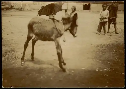 China Mandschurei Esel und Kinder Typen AK 中國 / 中国 1905 Privatfoto Foto