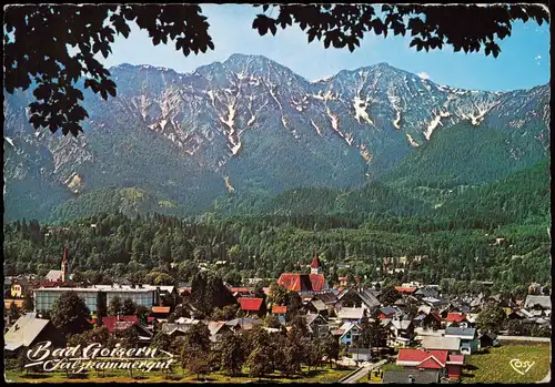 Bad Goisern am Hallstättersee Panorama-Ansicht Blick zum Kalm-Berg 1988