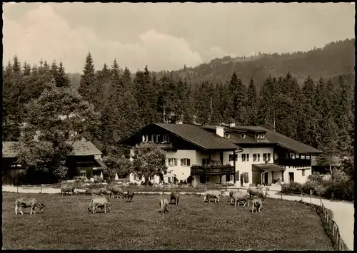 Ansichtskarte Elmau-Krün Gästehaus Alpengut 1962