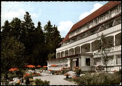Ansichtskarte Hahnenklee-Goslar Hotel "Der Waldgarten" Colorfoto AK 1968