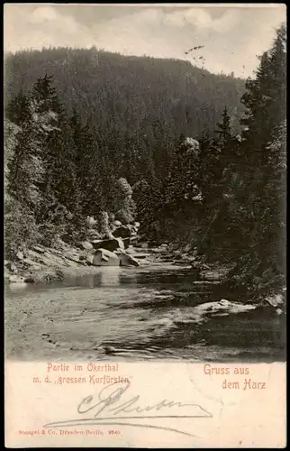 Ansichtskarte Oker-Goslar Partie Okerthal  1902  gel. Ankunftsstempel Amsterdam
