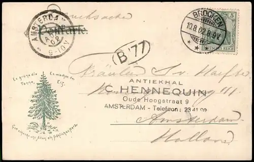 Ansichtskarte Oker-Goslar Partie Okerthal  1902  gel. Ankunftsstempel Amsterdam