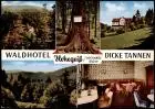 Ansichtskarte Hohegeiß-Braunlage Waldhotel DICKE TANNEN Mehrbild 1970