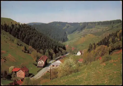 Sankt Andreasberg-Braunlage Mühlenstraße mit Blick auf Treibholz 1974