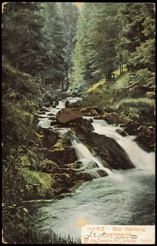 Ansichtskarte Bad Harzburg Forellensprung 1909